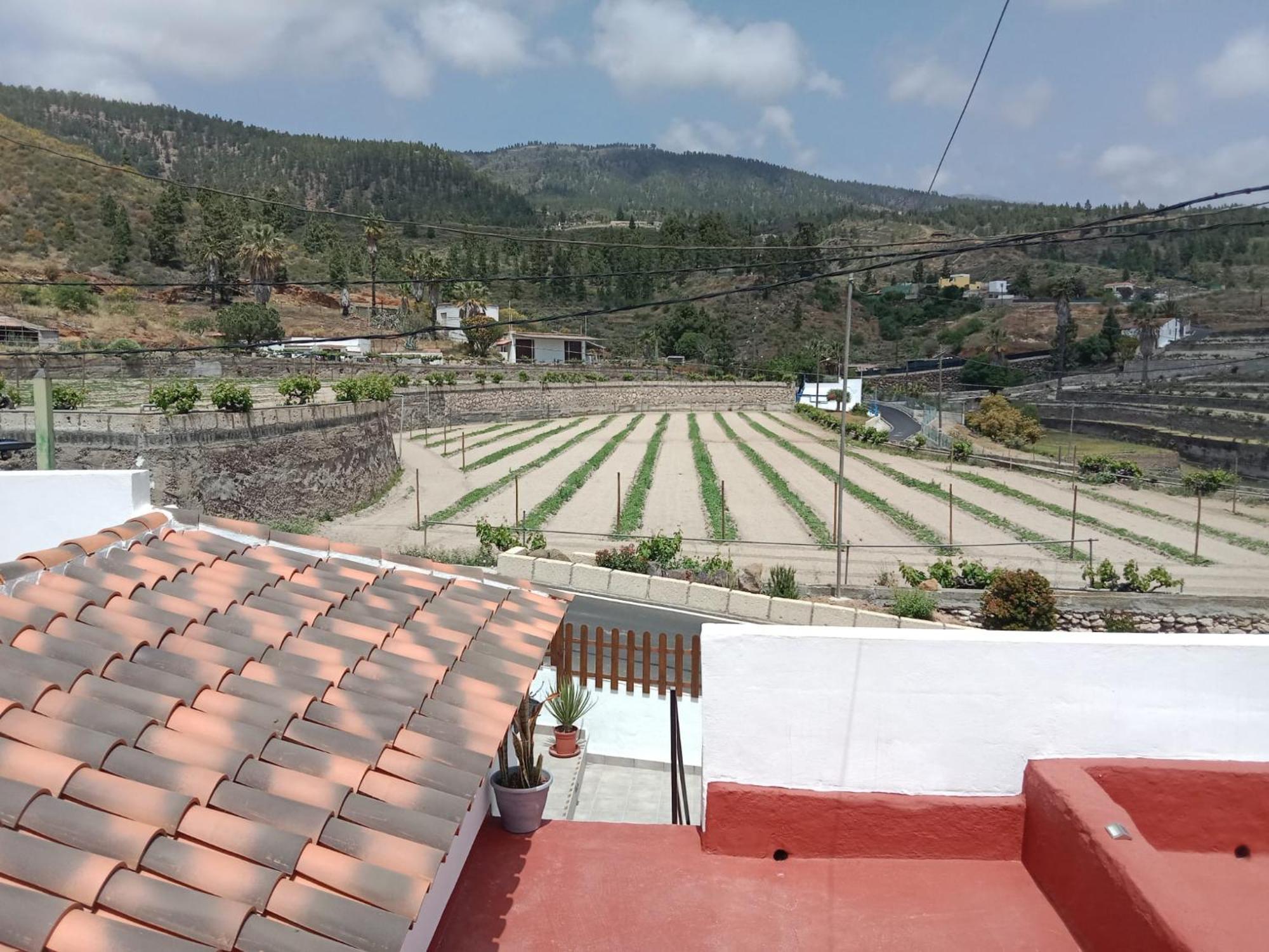 Casa El Escano Granadilla De Abona Exteriör bild